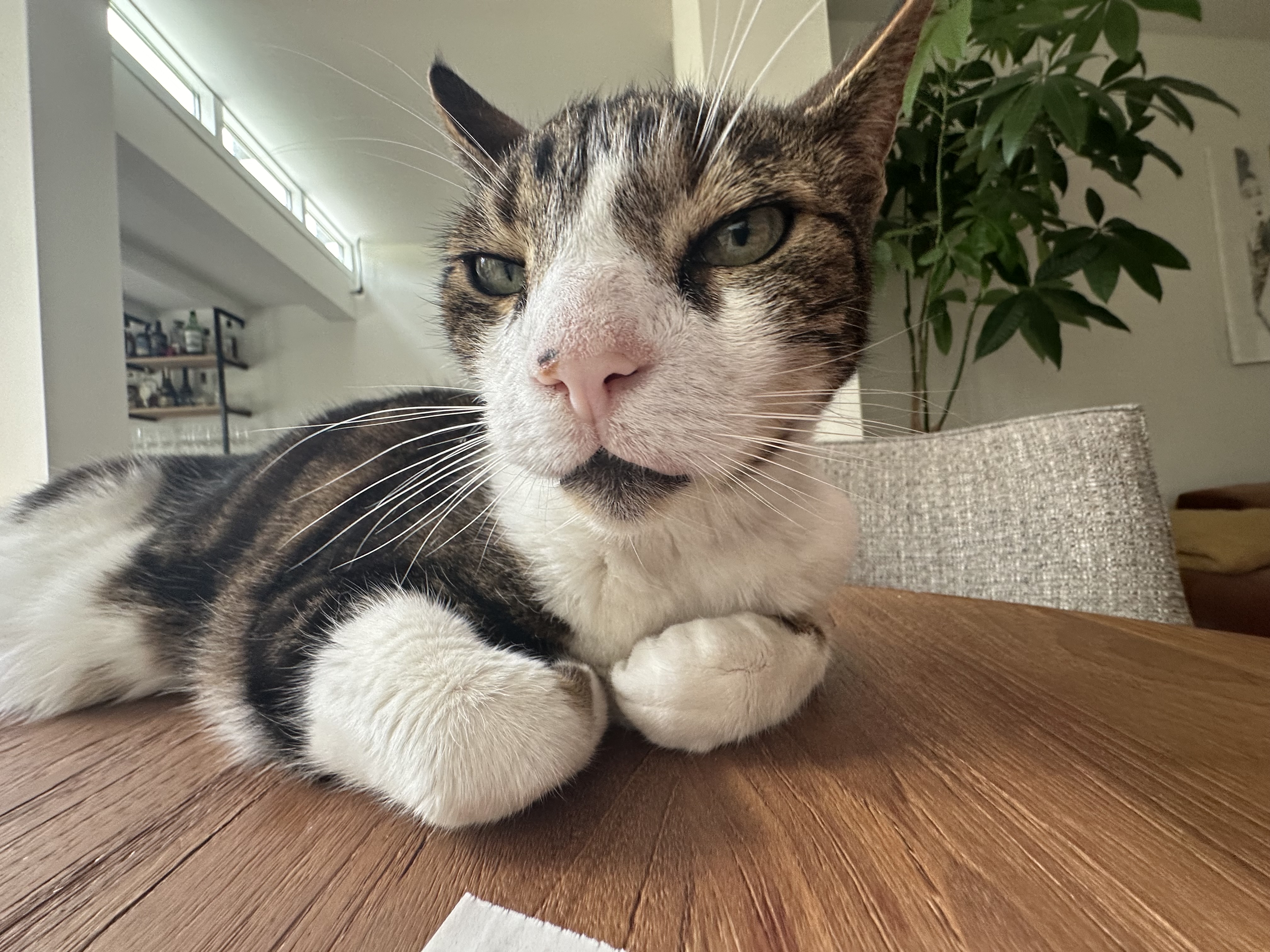 2024-06-30 13-23-12.jpeg